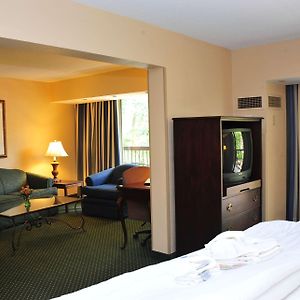 One-Bedroom King Suite